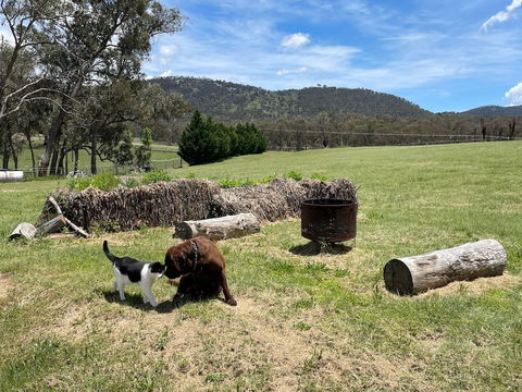 Donegal Farmstay - Brisbane Tourism 2