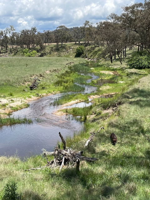 Donegal Farmstay - Brisbane Tourism 1