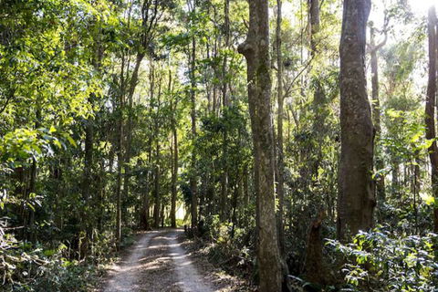 Rosewood Estate - Brisbane Tourism 1
