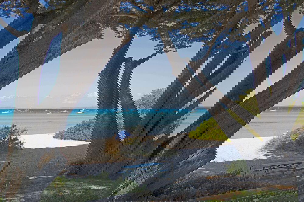 Sorrento VIC Tourism Brisbane