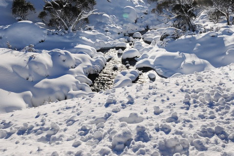 Powder 2a - Brisbane Tourism 2