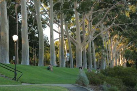 Heritage & Charming House In Subi - Tourism Brisbane 3