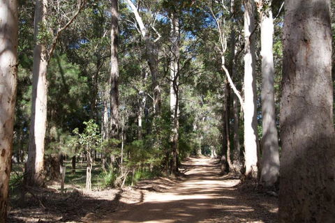 Karrak Reach Forest Retreat - Tourism Brisbane 4