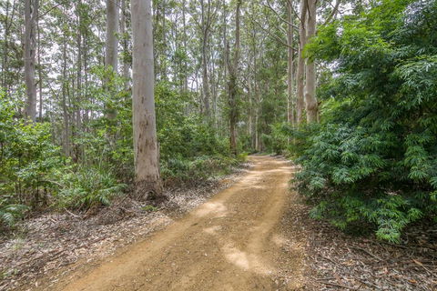 Karrak Reach Forest Retreat - Tourism Brisbane 3
