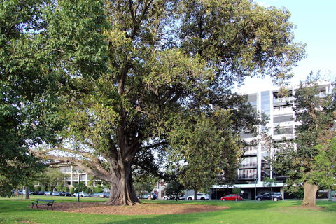 Adelaide Central Apartment - 3BR, 2Bath & Carpark - Tourism Brisbane 1