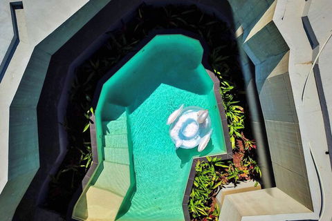 Alkira Award Winning Luxury Holiday Home - Tourism Brisbane 6