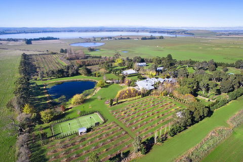 Orchards At Spring Vale Farm - Tourism Brisbane 1