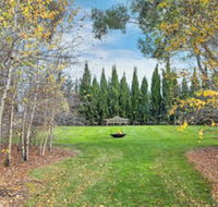 Orchards at Spring Vale Farm - Tourism Brisbane