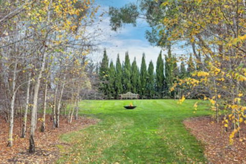Orchards At Spring Vale Farm - Tourism Brisbane 0