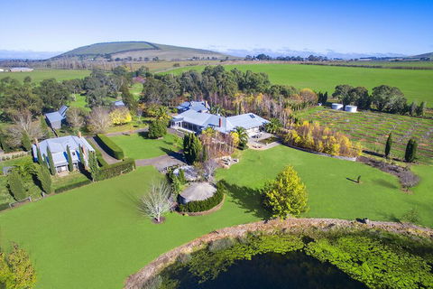 Orchards At Spring Vale Farm - Tourism Brisbane 3