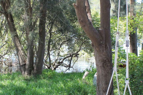 Waters Edge - Tourism Brisbane 5