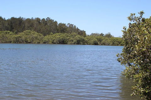 Waters Edge - Tourism Brisbane 4