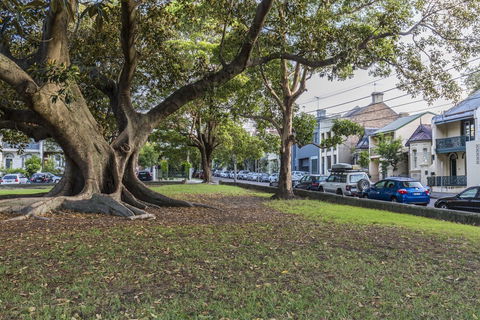 A Walk To Syd Uni & RPA Hospital - Tourism Brisbane 1