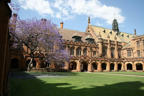 A Walk To Syd Uni & RPA Hospital - Tourism Brisbane 0