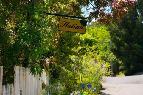 Halina - Brisbane Tourism 6