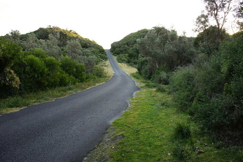 Venus Escapes Guesthouse - Brisbane 4u 2