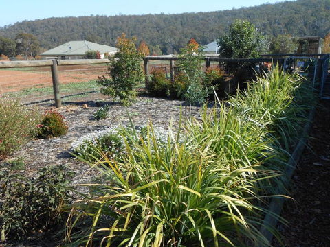 Lakeview - Tourism Brisbane 6