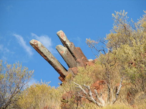 Wudinna Farm View - Tourism Brisbane 3