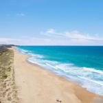 Jimmys Shout Pet Friendly - Brisbane Tourism 0