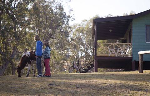 Bestbrook Mountain Resort - Brisbane Tourism 4