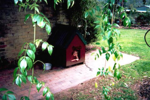 Kurrajong Trails And Cottages - Tourism Brisbane 1