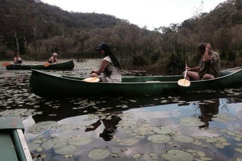 Kurrajong Trails And Cottages - Tourism Brisbane 3