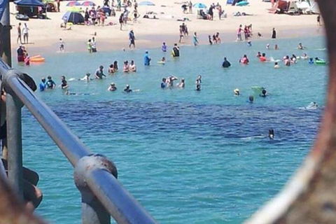 Waterfront Port Noarlunga - Brisbane Tourism 2