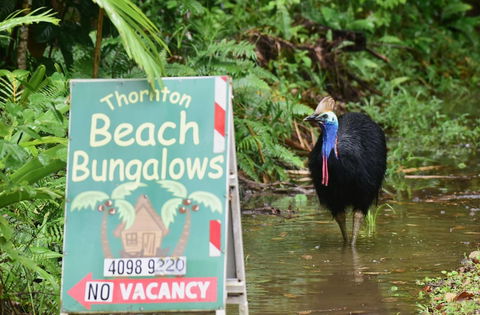 Thornton Beach Bungalows - Tourism Brisbane 5
