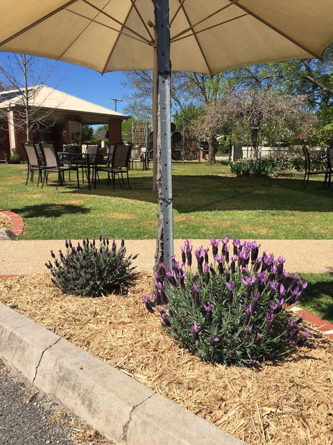 Wine Village Motor Inn - Brisbane Tourism 4
