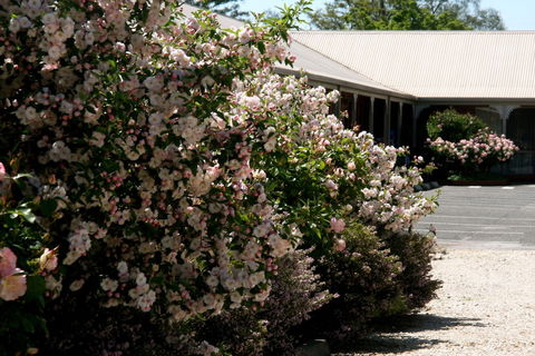 Wine Village Motor Inn - Brisbane Tourism 1