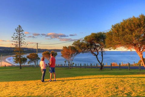 Beach Cabins Merimbula - Brisbane Tourism 1