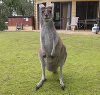 Yelverton Brook Conservation Sanctuary - Brisbane 4u