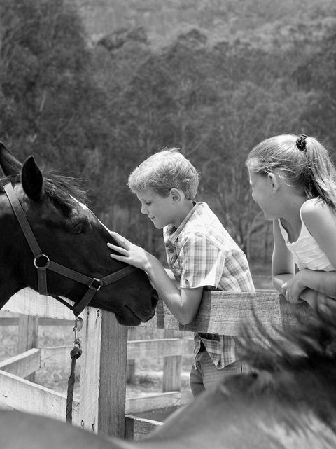 Emirates One&Only Wolgan Valley Australia - Tourism Brisbane 6
