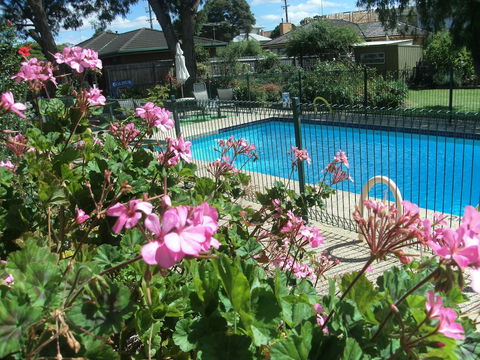 Parkwood Motel And Apartments - Tourism Brisbane 2