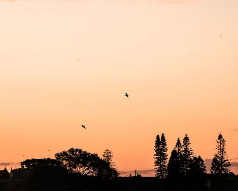 Terrigal Pacific Coastal Retreat - Brisbane Tourism 5
