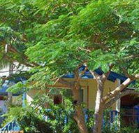Amber Gardens Guesthouse - Brisbane 4u