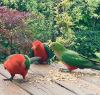 Crimson Villa - Tourism Brisbane