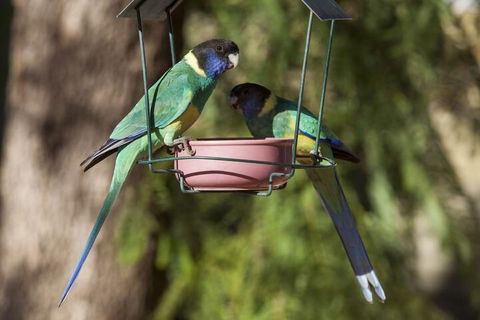 Kathys Place Bed And Breakfast - Tourism Brisbane 2