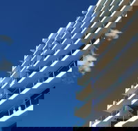 Northwind Holiday Apartments Mooloolaba - Tourism Brisbane