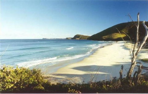 ILUKA - Tourism Brisbane 4