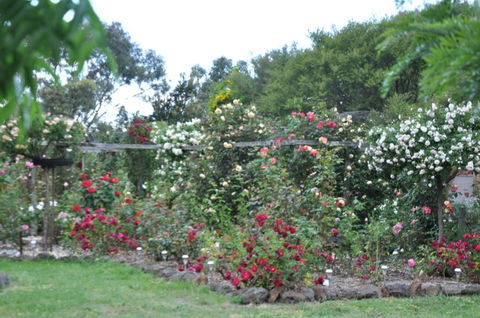 Fairy Wren Cottage Country To Coast Retreat - Tourism Brisbane 6