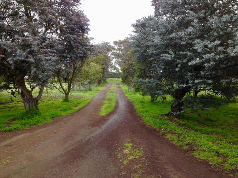 Fairy Wren Cottage Country To Coast Retreat - Tourism Brisbane 4