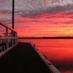 Fairy Wren Cottage Country To Coast Retreat - Tourism Brisbane 0