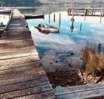 Salt Box Hideaway - Tourism Brisbane