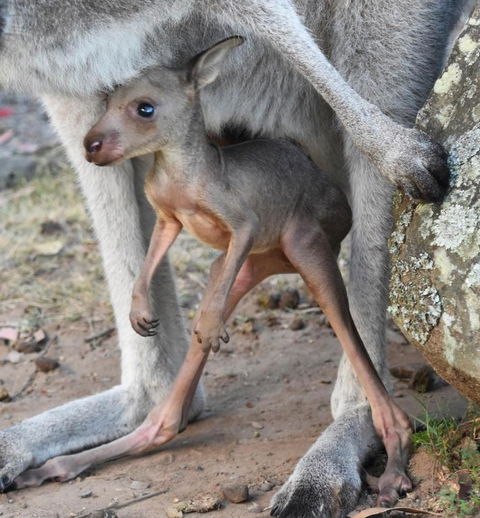 Valley View Luxury Retreat - Tourism Brisbane 3