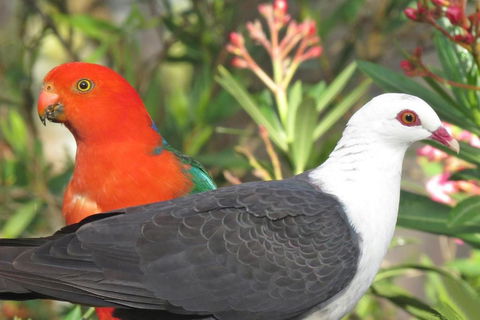 Valley View Luxury Retreat - Tourism Brisbane 5