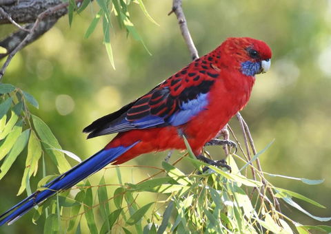 Valley View Luxury Retreat - Tourism Brisbane 6