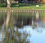 Wentworth Wharf B  B - Brisbane Tourism