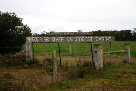 Brodribb River Rainforest Cabins Cabin 2 - Tourism Brisbane 7