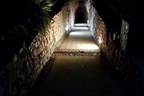 Zen Underground B & B - Tourism Brisbane 2